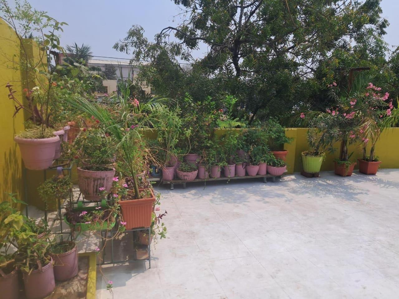 Petite Garden * Chennai